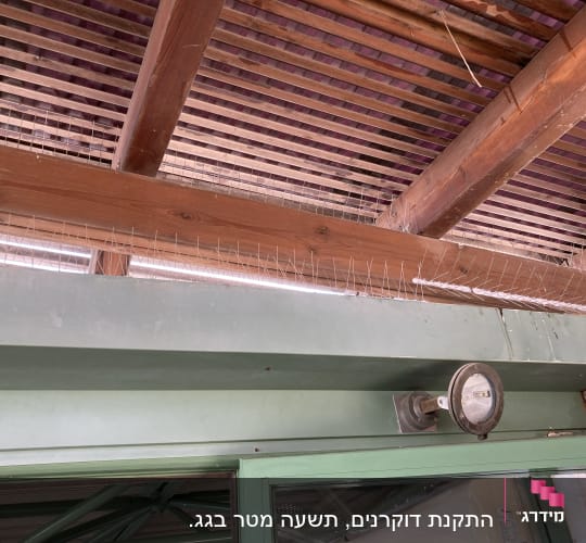 דוקרנים למניעת יונים על קורות עץ בתקרה